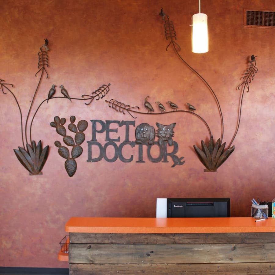 Pet Doctor About Page Generic Image Pet Doctor About Page Generic Image