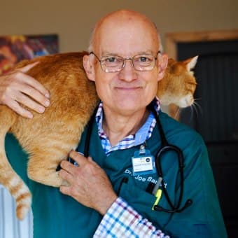 Dr. Joseph Barrett Dr. Joseph Barrett