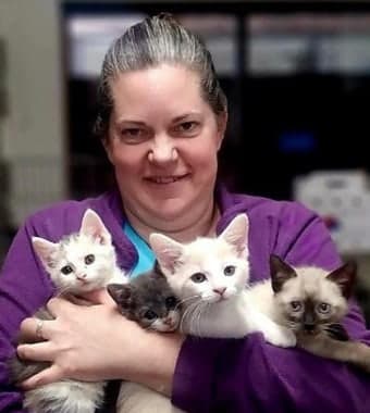 Dr. Amy Fischlein Dr. Amy Fischlein