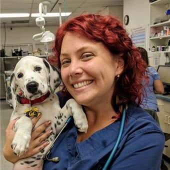 Dr. Val Fournier Dr. Val Fournier