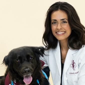 Dr. Soha LaRue Dr. Soha LaRue