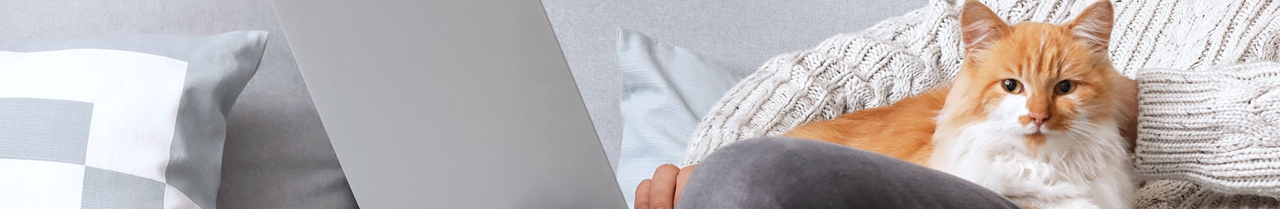 thomasville-veterinary-hospital-banner-3 thomasville-veterinary-hospital-banner-3