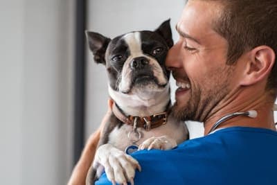 What is an AAHA Accredited Animal Hospital? What is an AAHA Accredited Animal Hospital?
