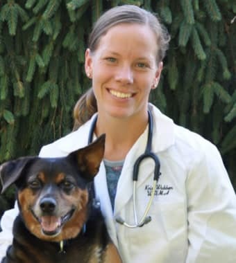 Dr. Kristi Wubben Dr. Kristi Wubben