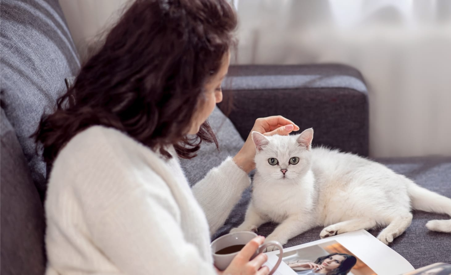 Rancho Park Veterinary Clinic Hero Image Rancho Park Veterinary Clinic Hero Image