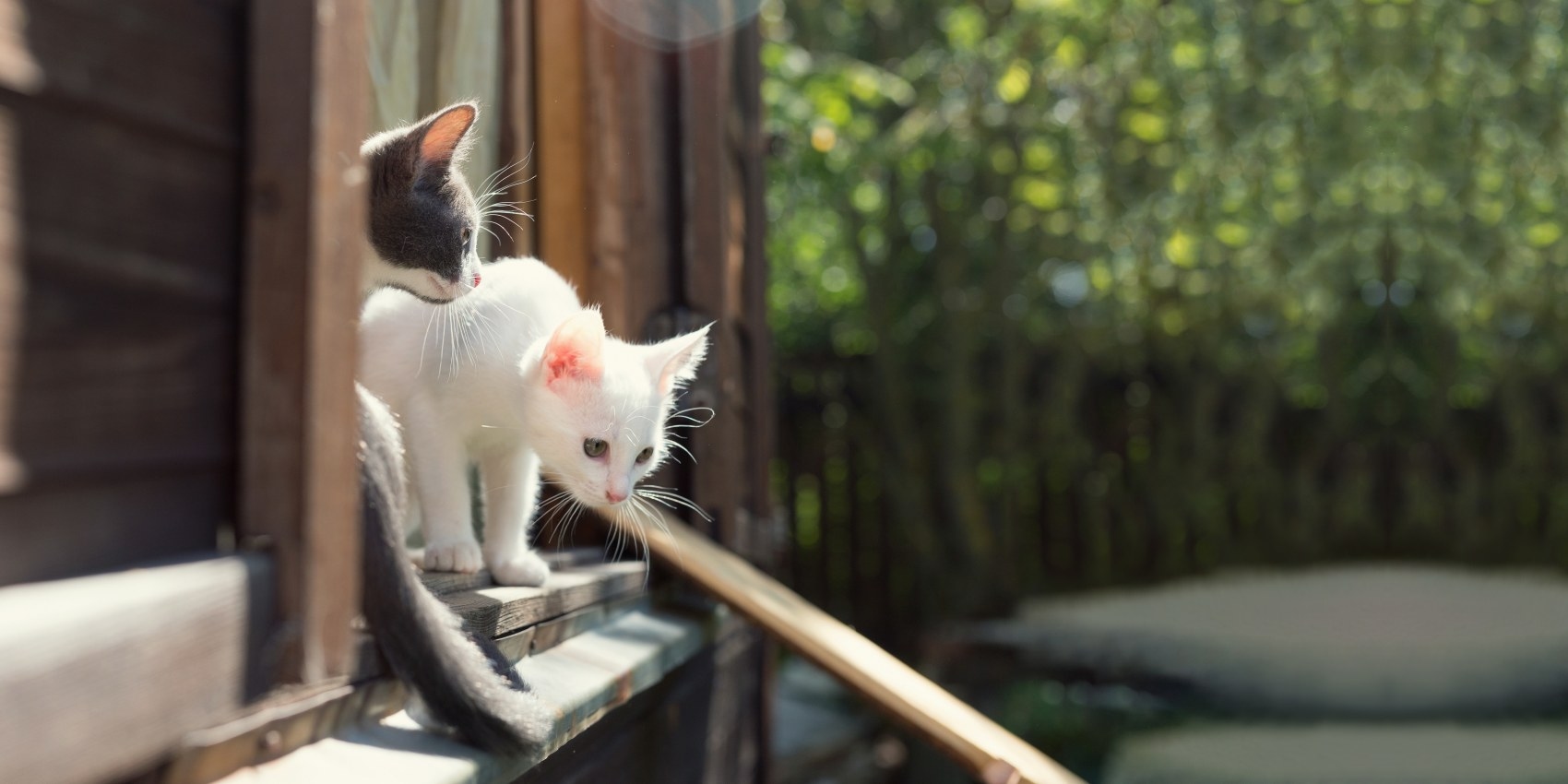 Pekin Veterinary Clinic Hero Image Pekin Veterinary Clinic Hero Image