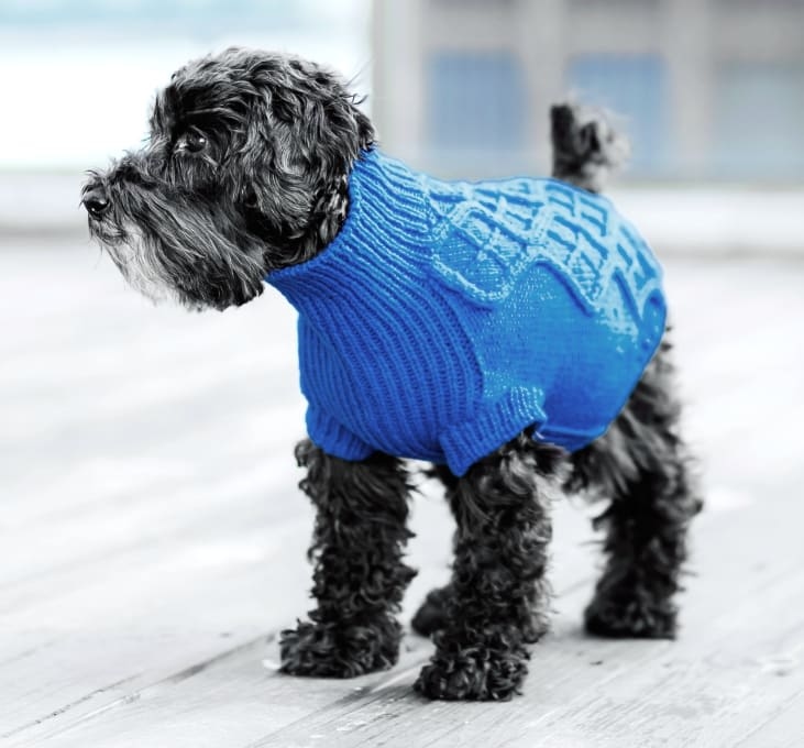 Ruckersville Animal Hospital Hero Image Ruckersville Animal Hospital Hero Image