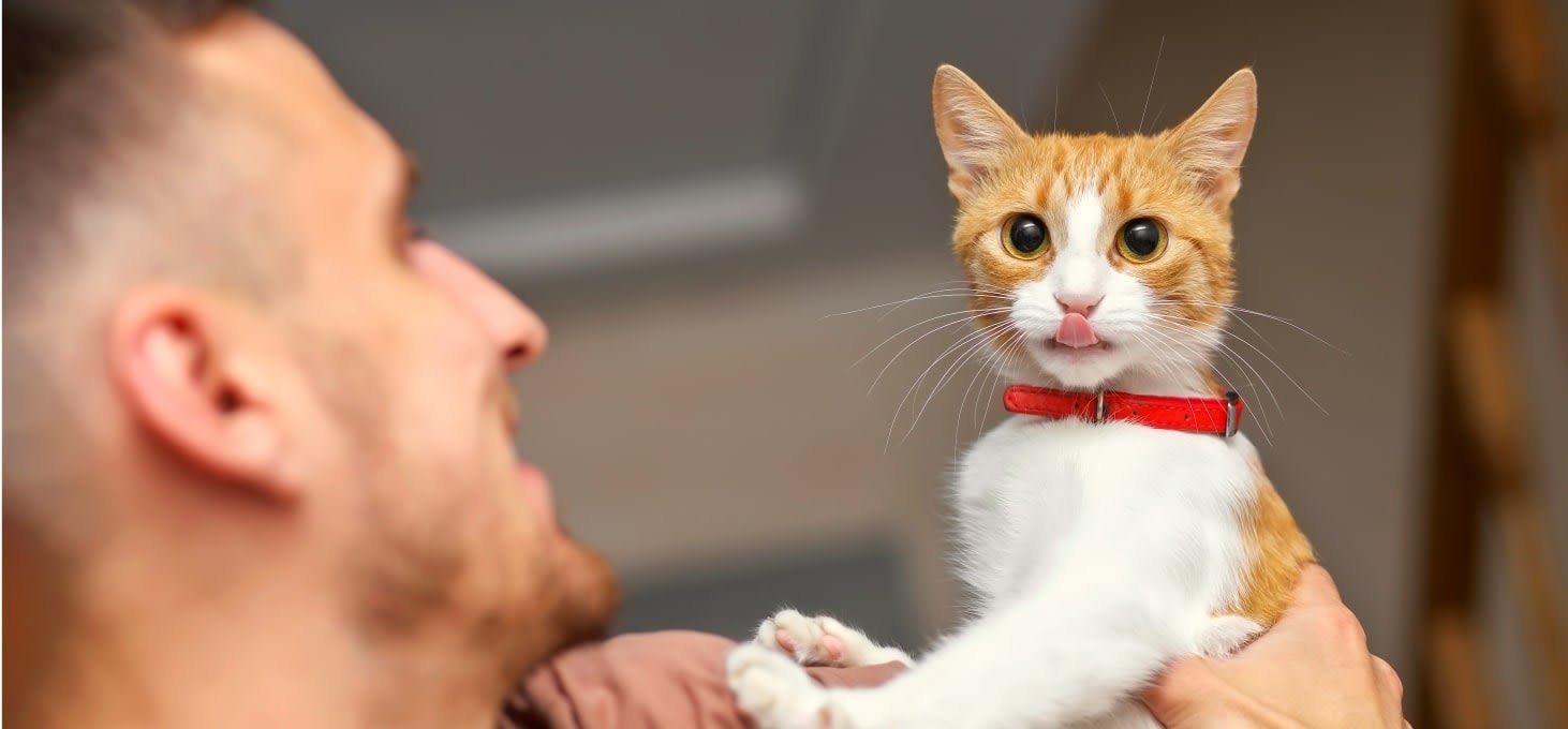 Pico Rivera Animal Hospital Hero Image Pico Rivera Animal Hospital Hero Image