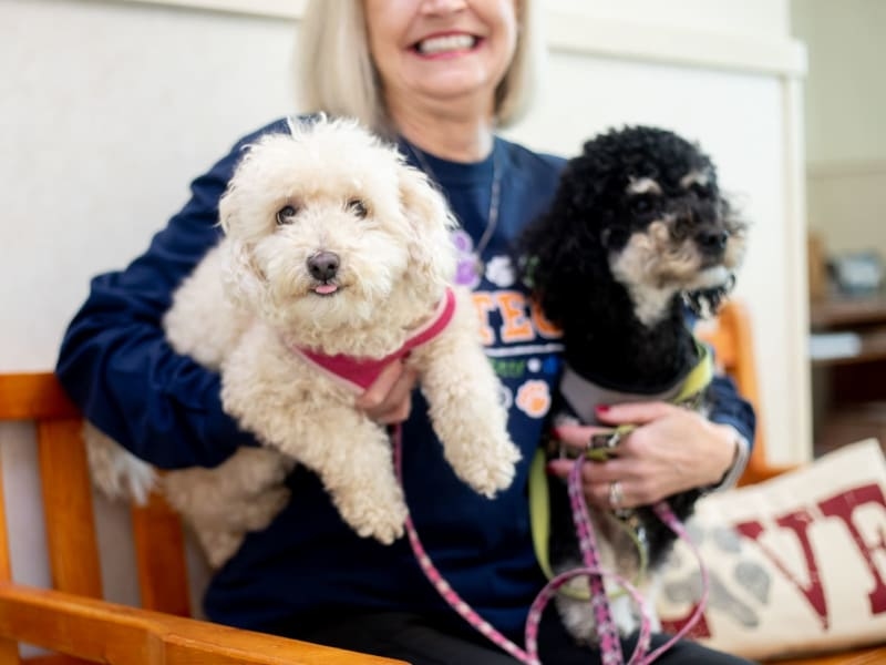 Animal Hospital of Clemmons Hero Image Animal Hospital of Clemmons Hero Image