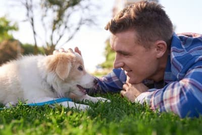 How to Raise a Puppy: Guide for the First Year How to Raise a Puppy: Guide for the First Year